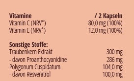 OPC Forte